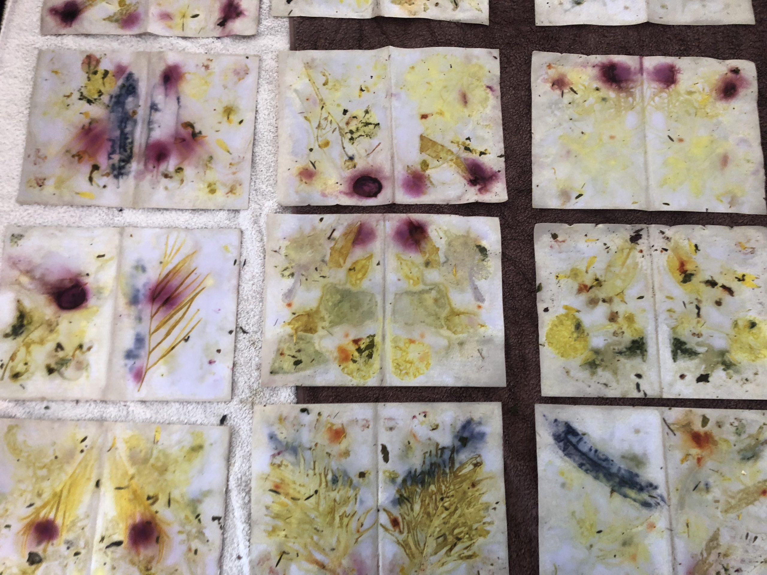 Writing about trees image